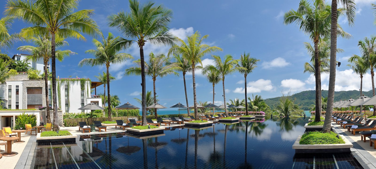 Tropical Dreaming