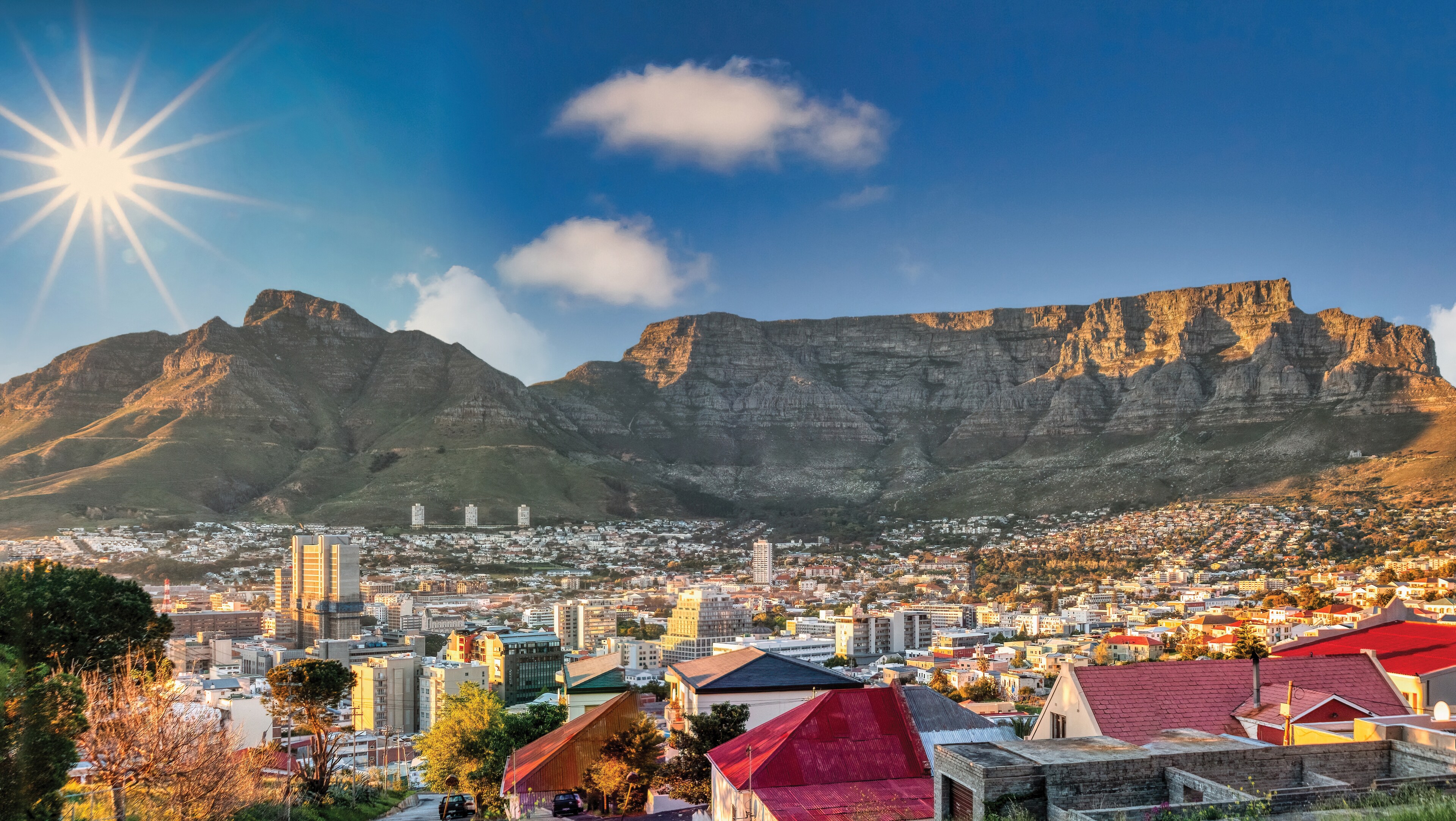 Table Mountain towers over Cape Town.