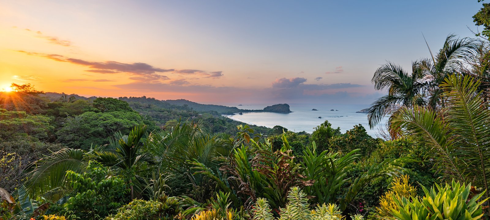 Manuel Antonio National Park, like the rest of the island, is teeming with lush flora and fauna.