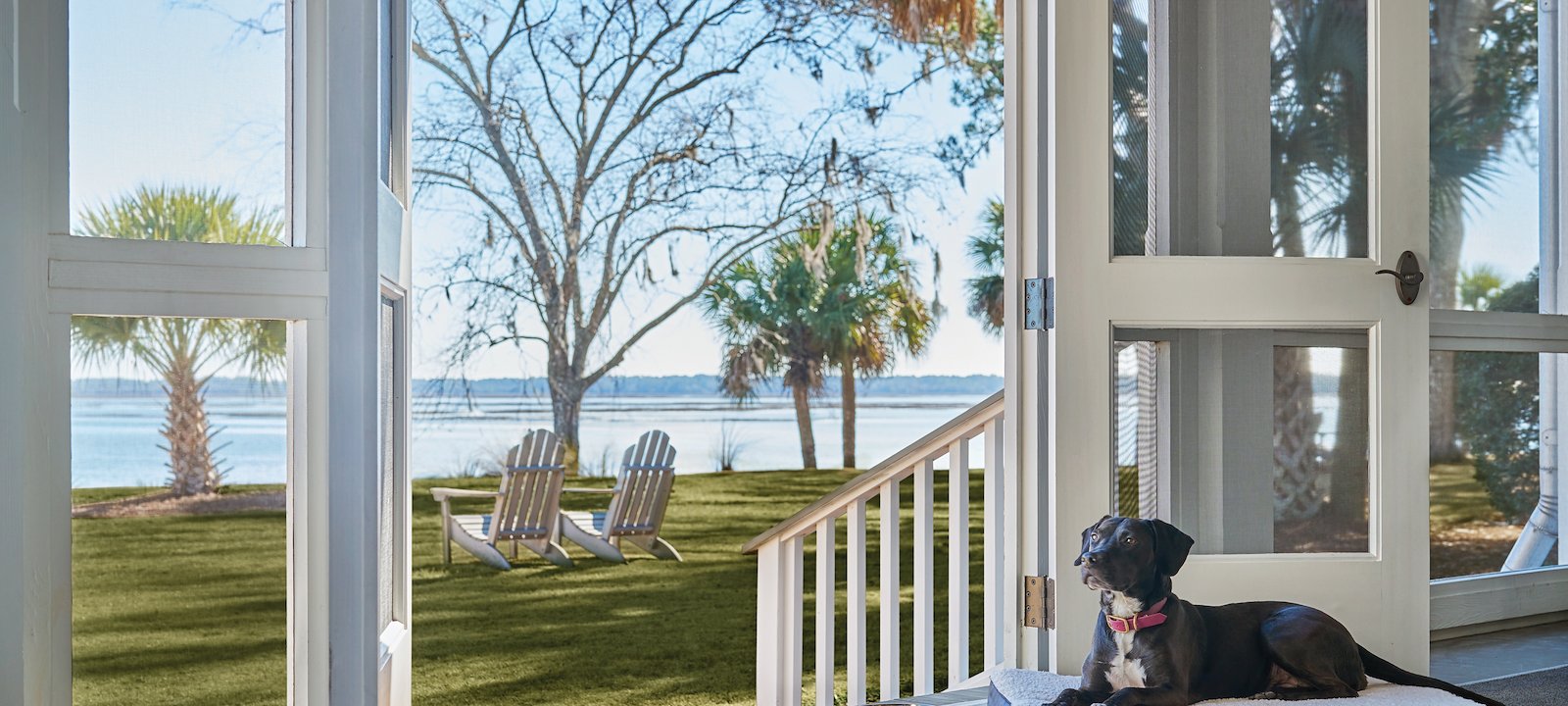 Montage Palmetto Bluff extends warm Southern hospitality to pets.