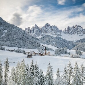 Winter Wonderlands