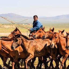 Mongolia