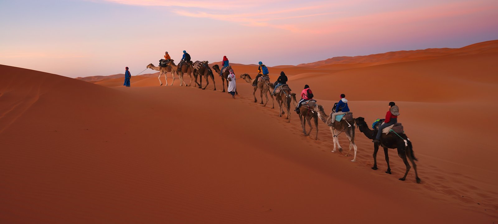 A group traversing the Sahara Desert by camel during the evening.