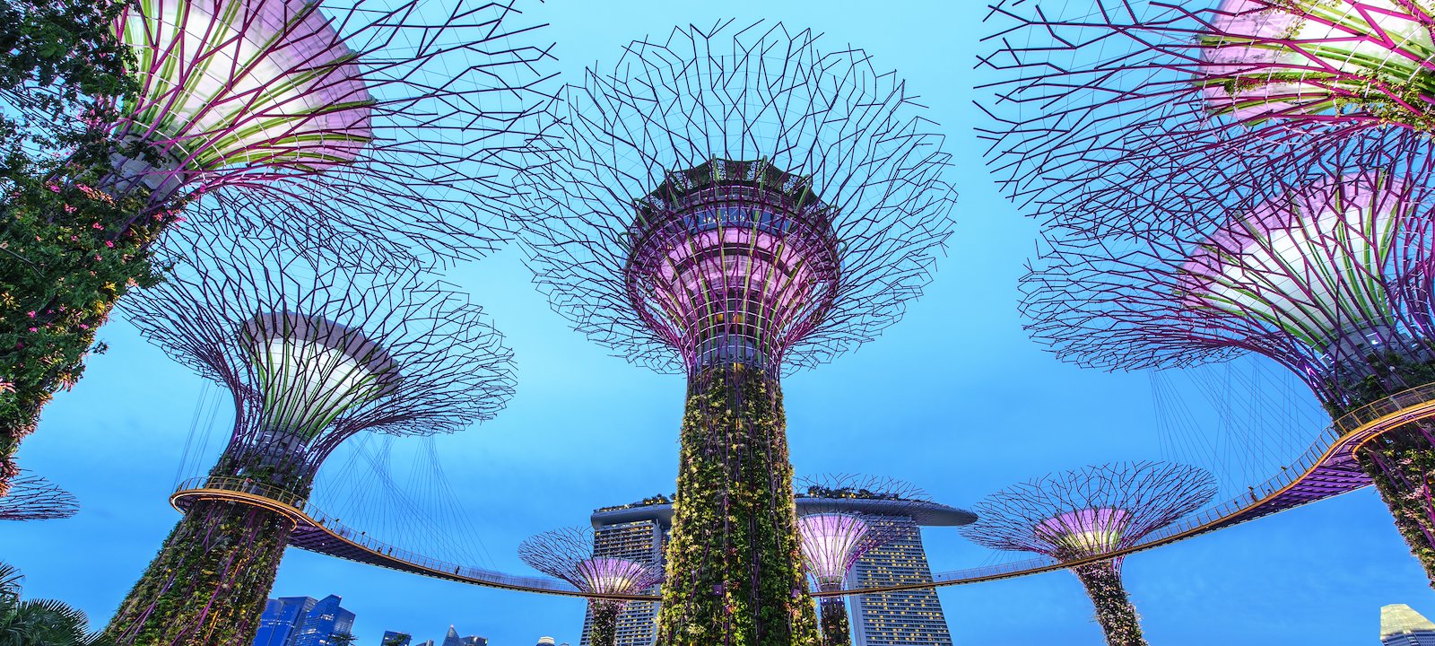 Marina Bay and the Singapore cityscape lit up at twilight.