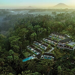 Where Jungle Meets Stillness