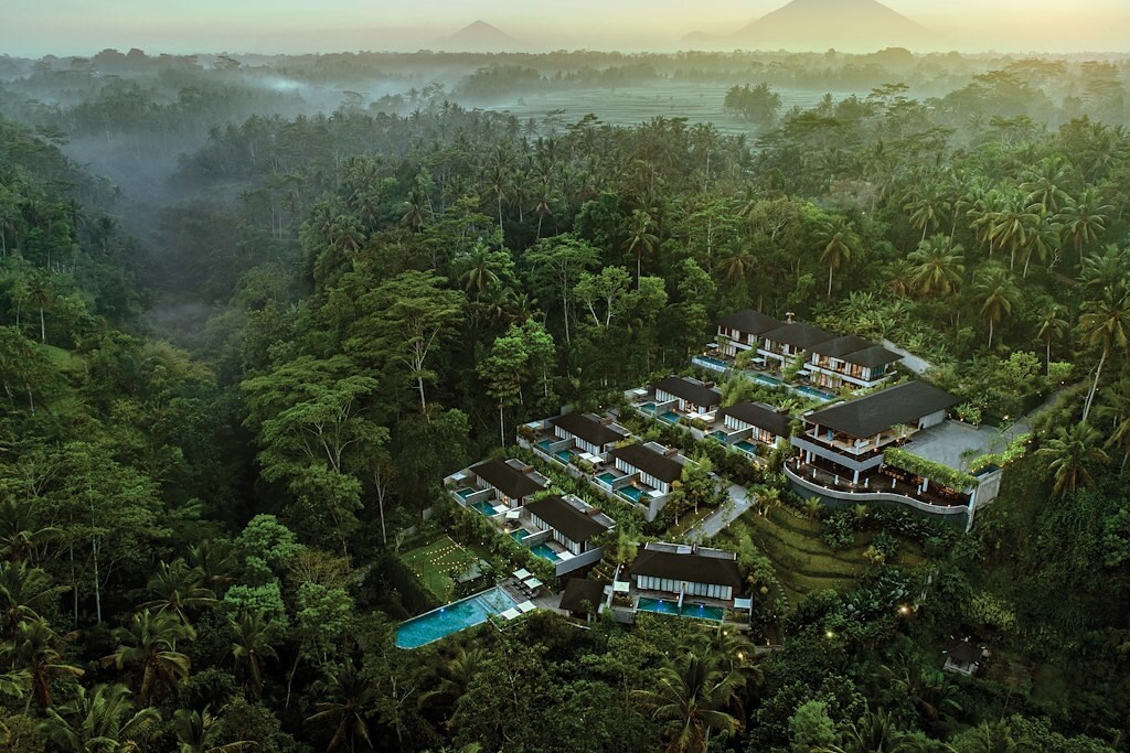 Where Jungle Meets Stillness