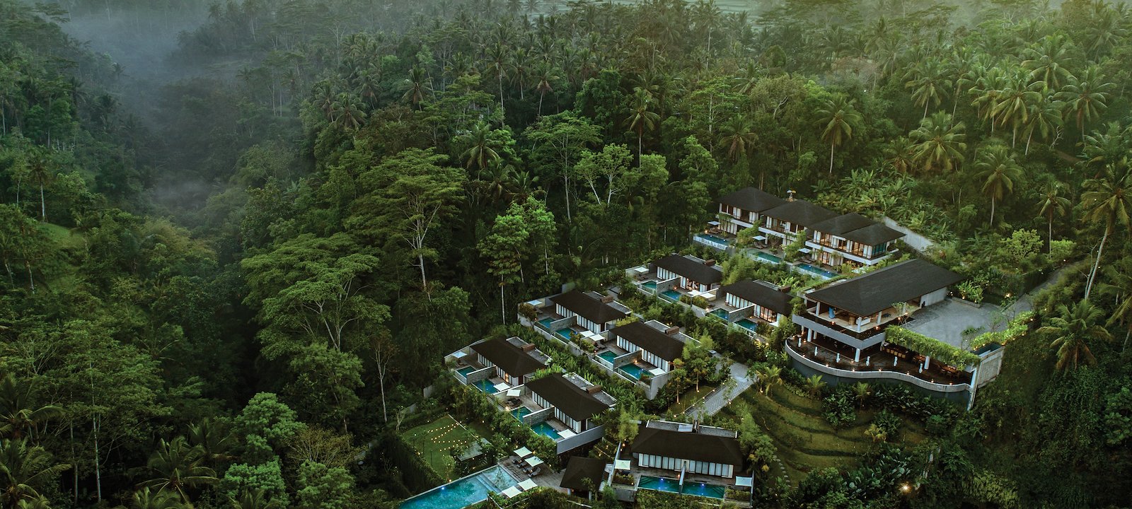 <p>Where Jungle Meets Stillness</p>