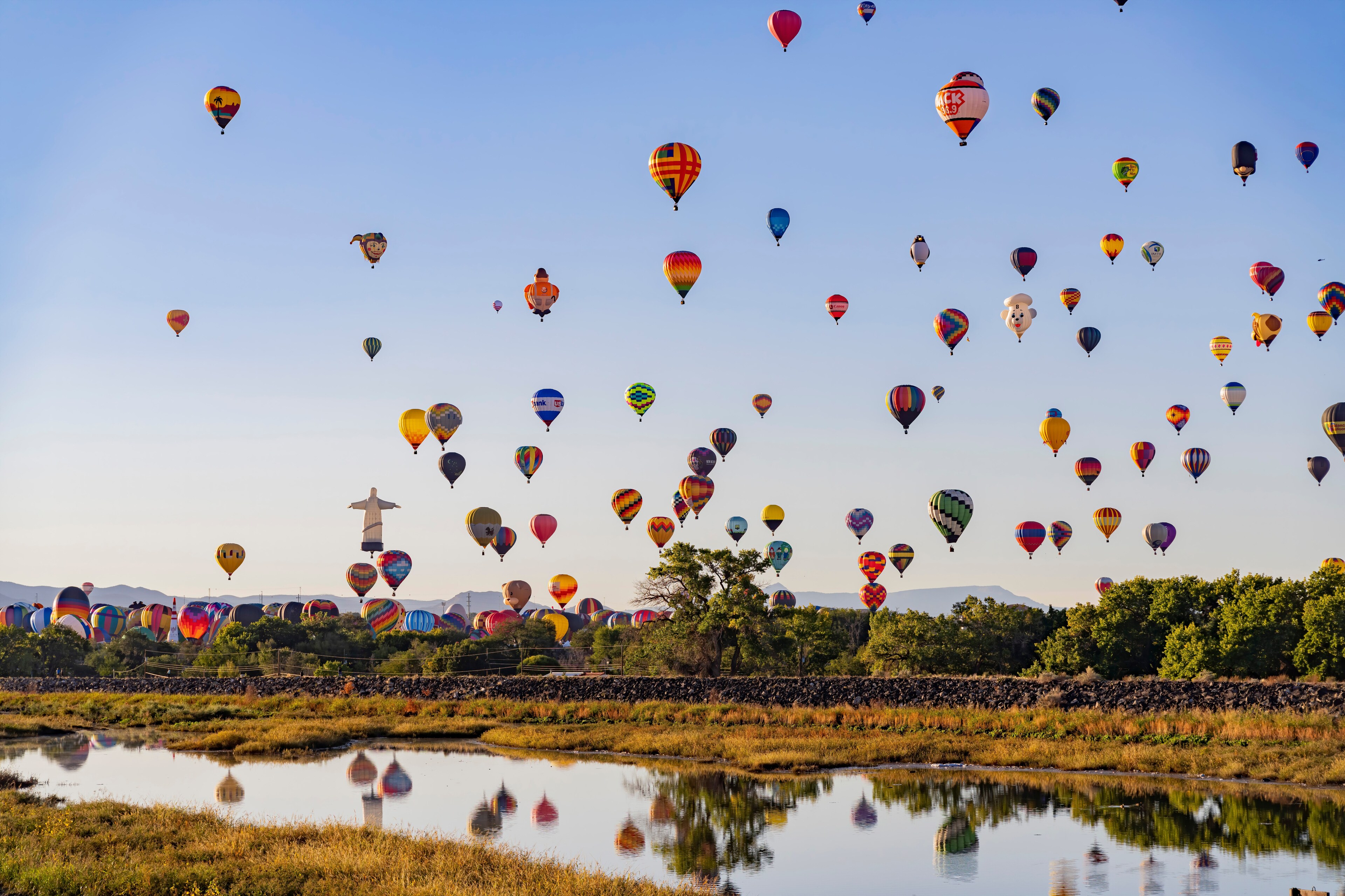 <p>Vibrant hot air balloons take flight at the Albuquerque International Balloon Fiesta.</p>
