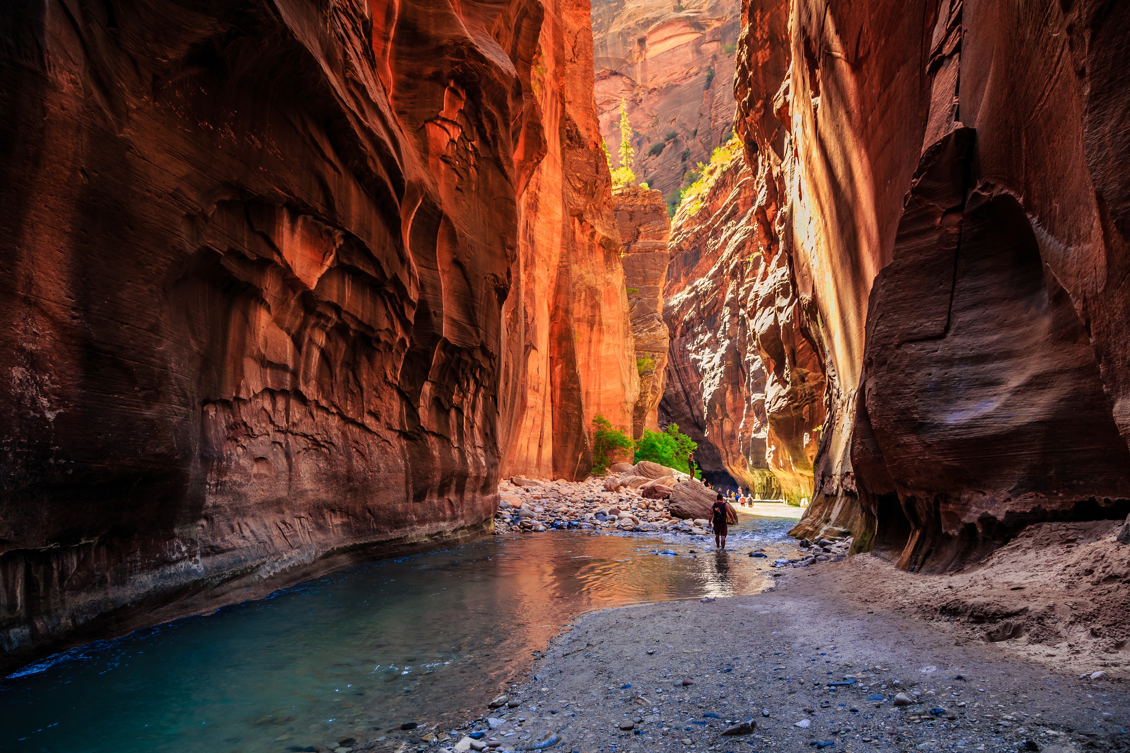 <p>Stroll beneath towering canyon walls at Zion National Park.</p>