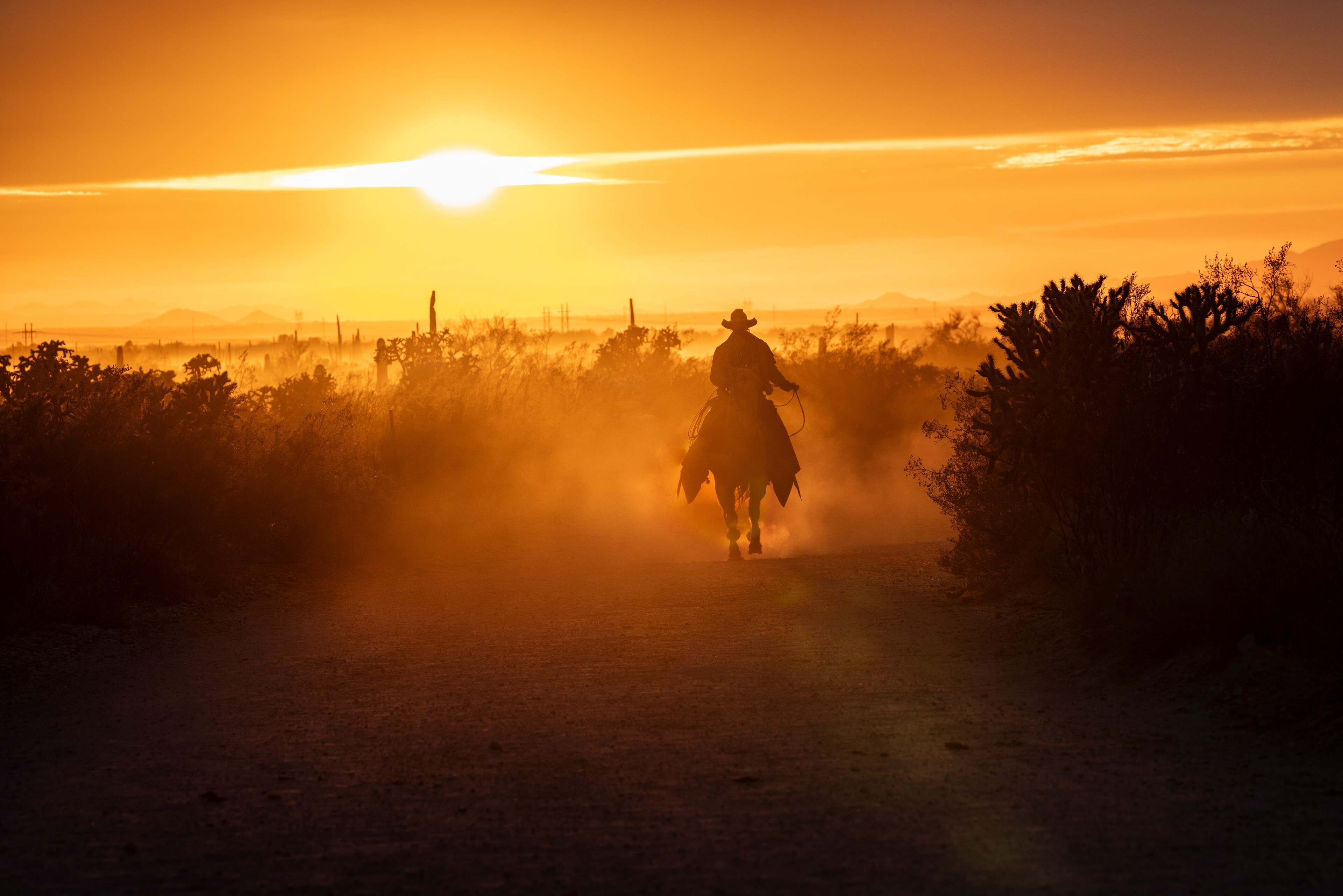 <p>A cowboy rides tall into the sunset.</p>
