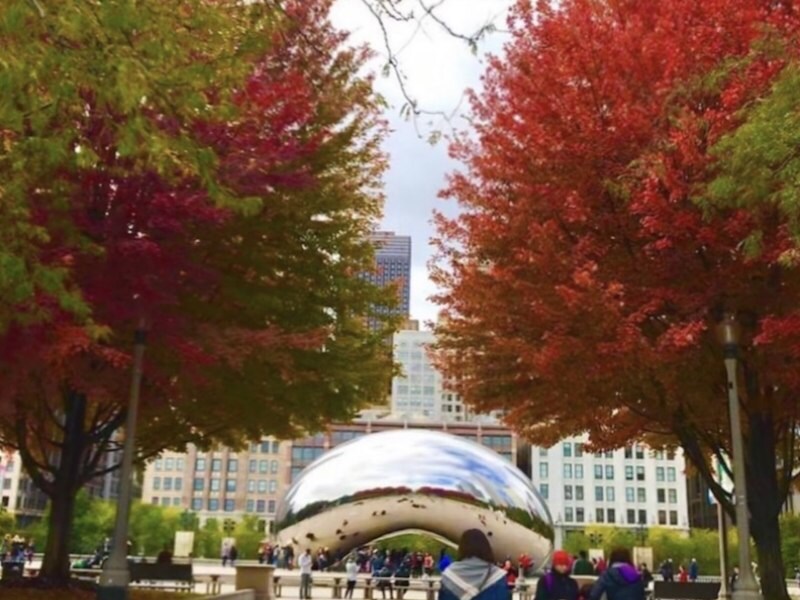 Fall for Chicago