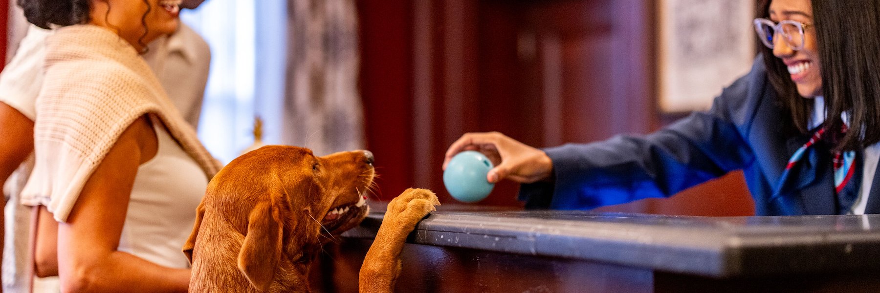 Pet-Friendly Stays at the Maryland Inn at Annapolis, Maryland