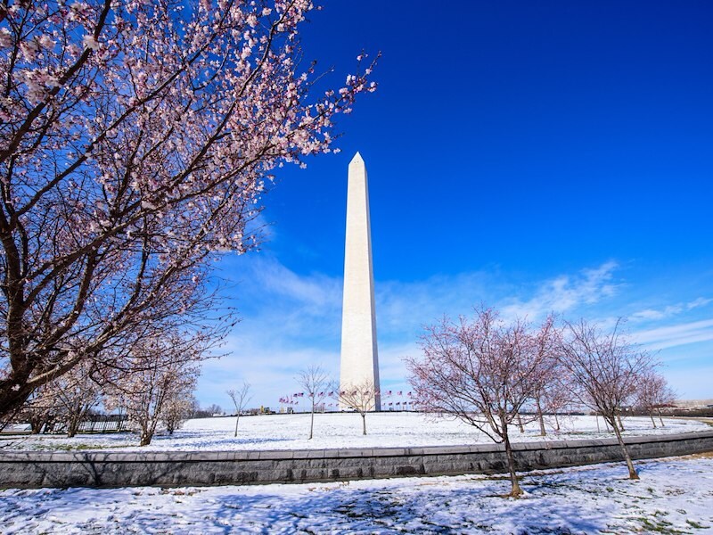 Washington DC Hotel Deals Melrose Hotel