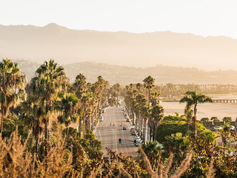 A road with palm trees and mountains in the background