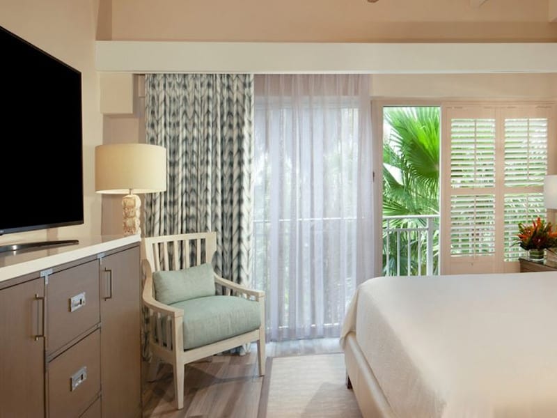 A bright and airy hotel room with a bed, chair, TV, and palm view.