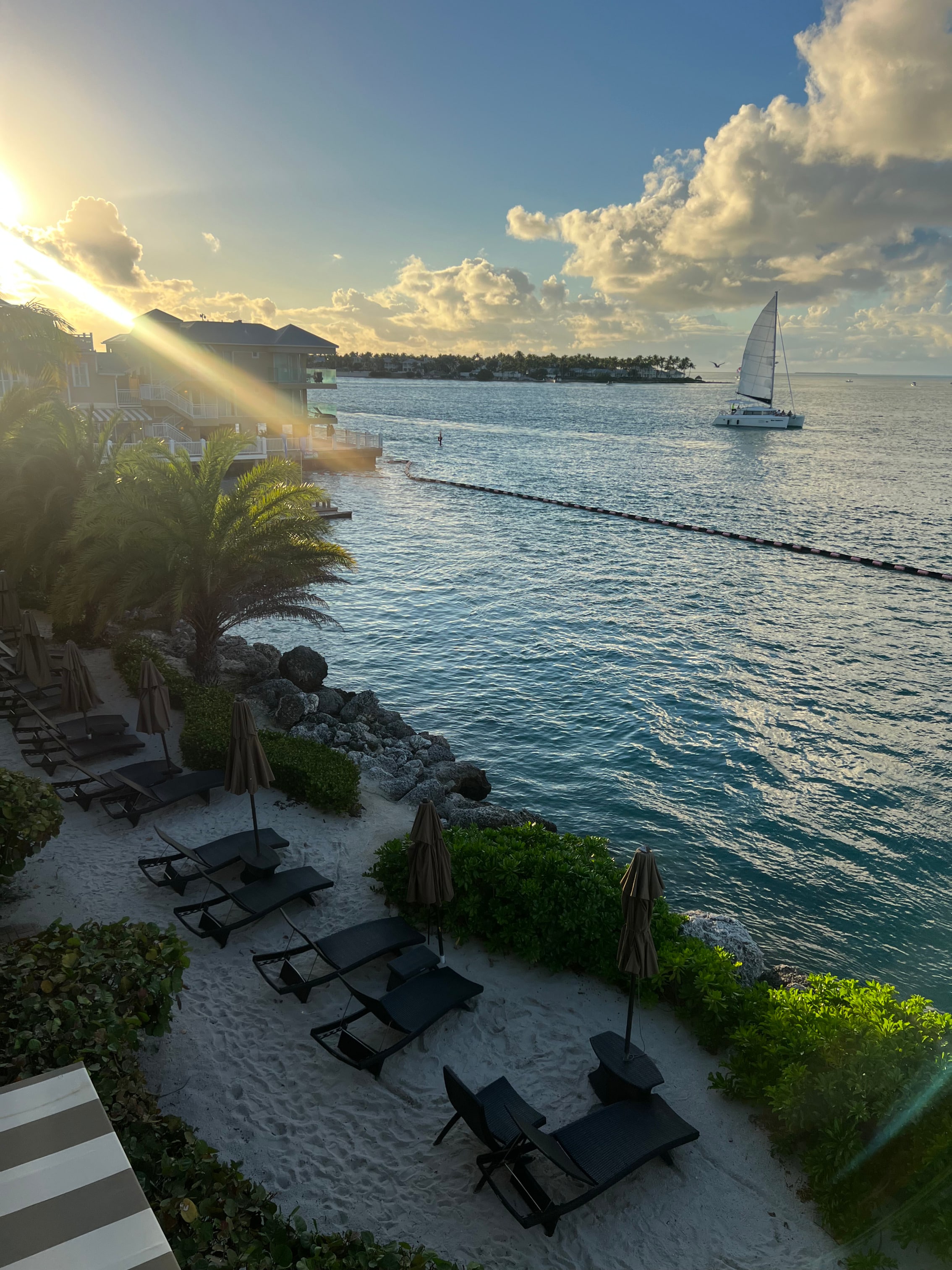 A serene beach scene with lounge chairs, palm trees, and a sailboat in the distance.