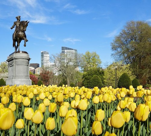 Spring Into Escape at Seaport