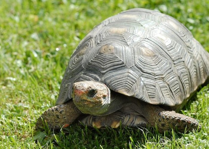 Seaport Smalls Fun for the Littles this Fall (and Winter)!