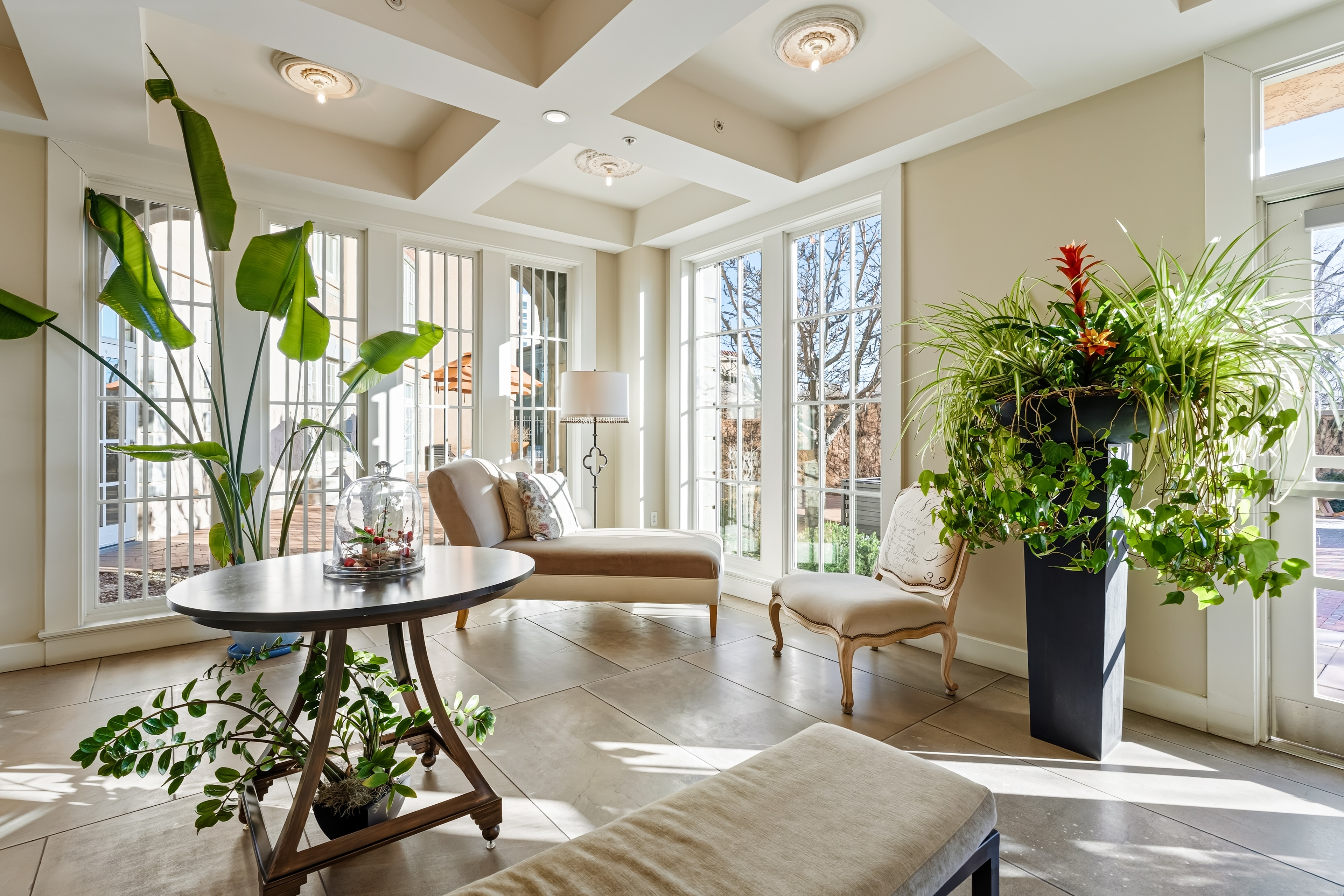 A living room with a large window and lots of plants, Hotel Parq Central, Albuquerque, New Mexico