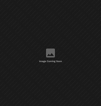 Image ALT Text