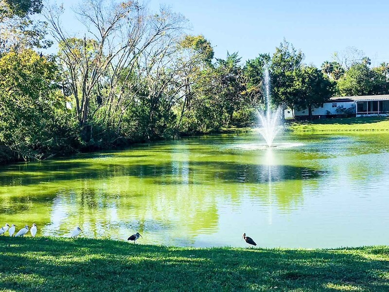 Manufactured Homes in South Daytona, Florida Candlelight Manor