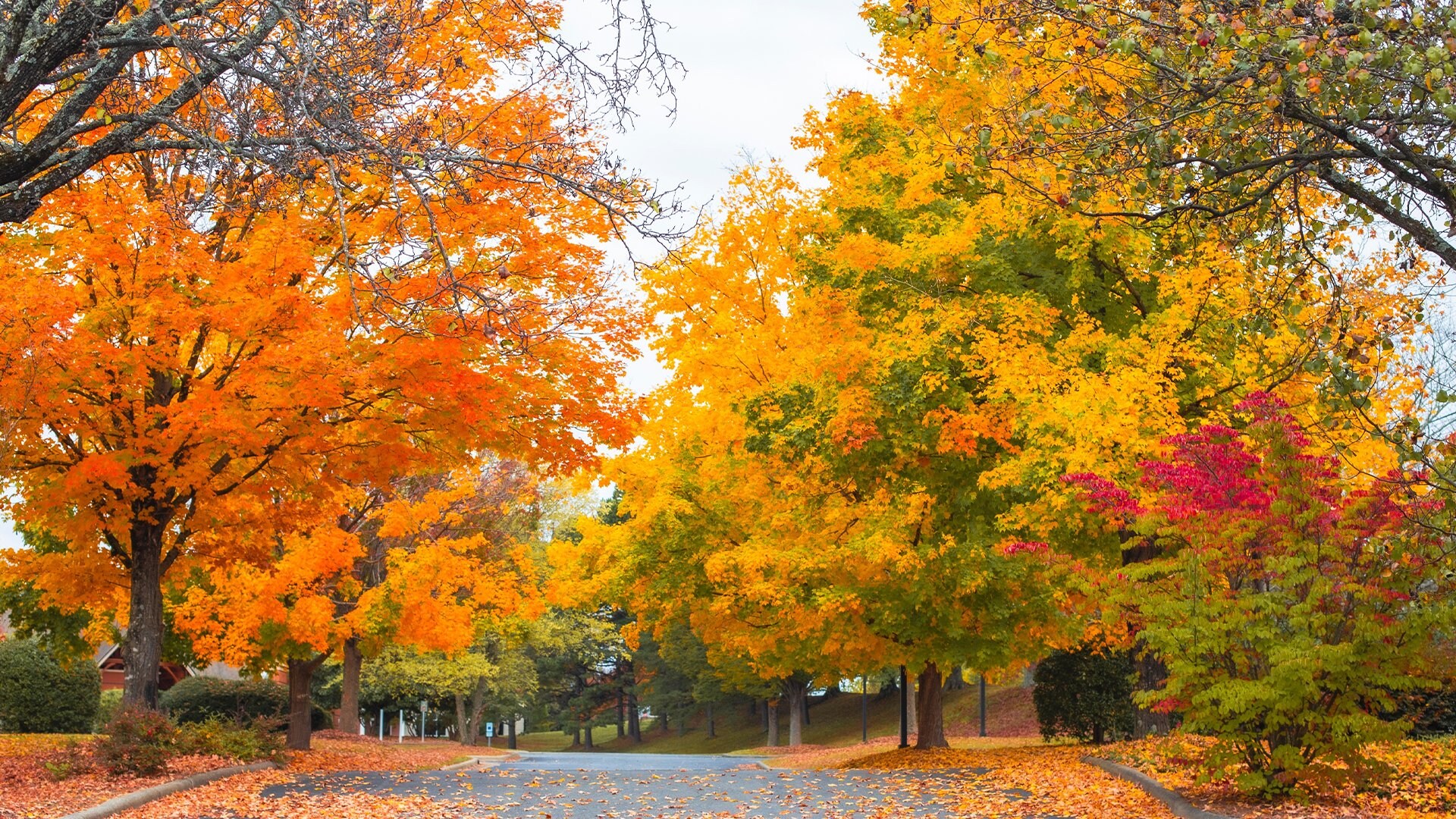 Marysville Farms Sun Communities