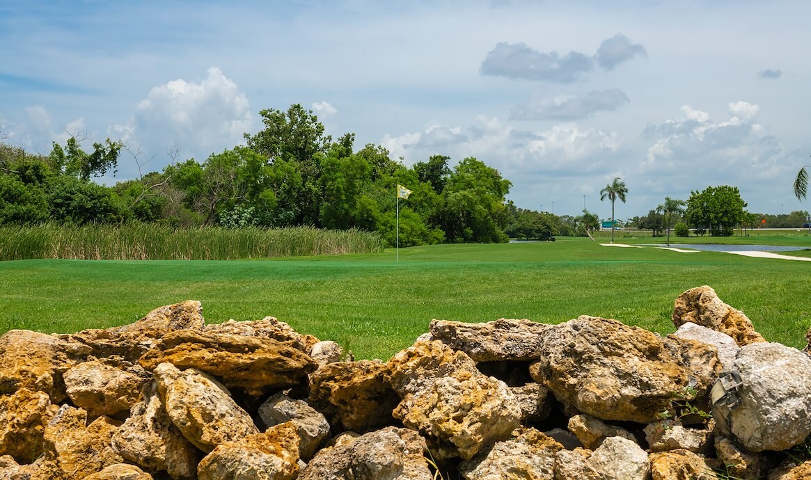 Blue Heron Pines Golf Course