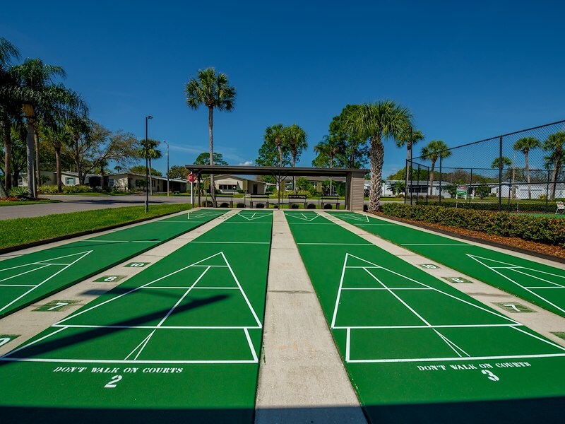 Shufflebaord courts