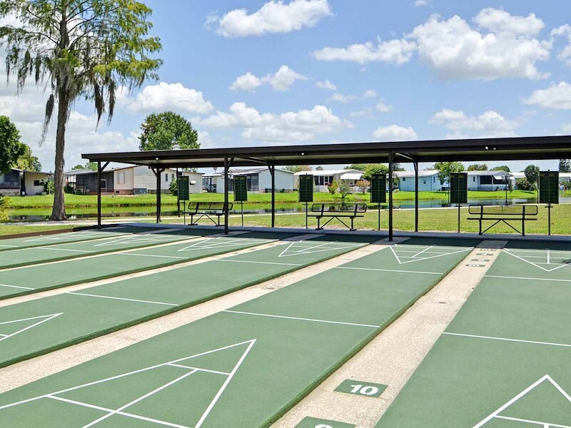 Shuffleboard