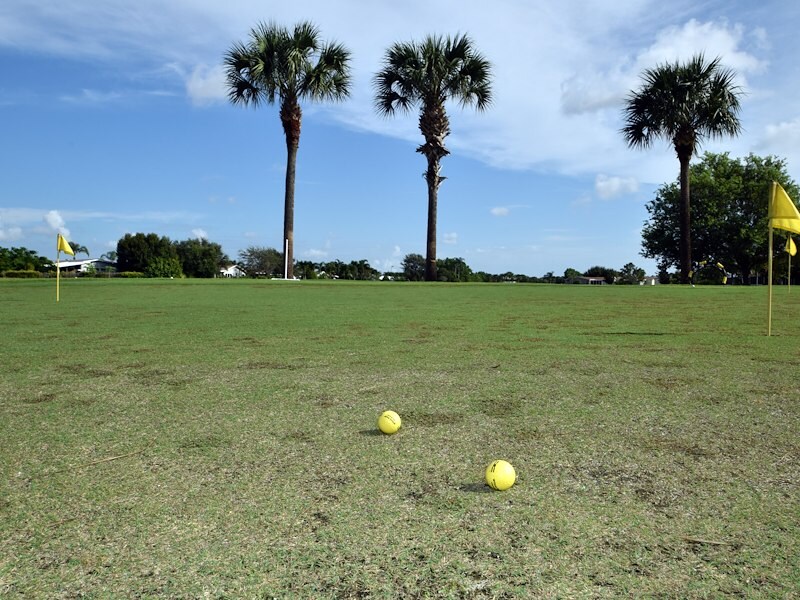 Two yellow golf balls on greenery near hole - Savanna Club