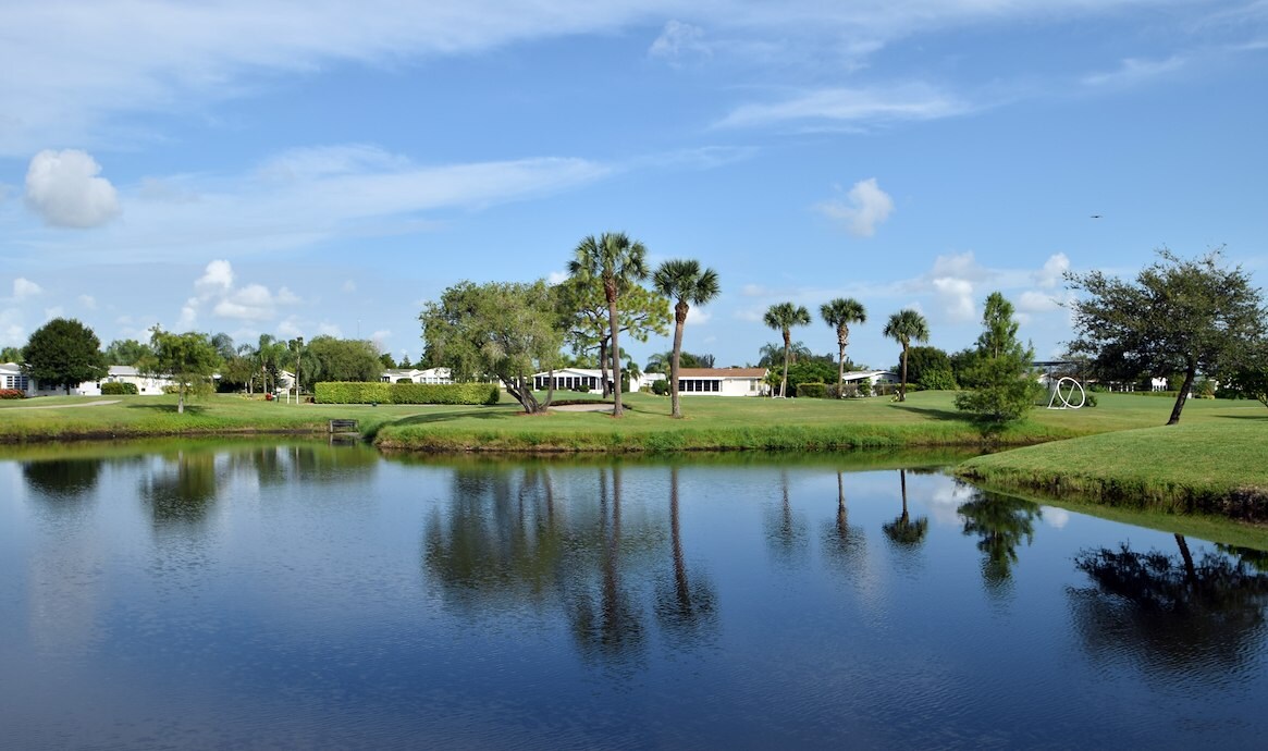 Play Under the Palms - Savanna Club