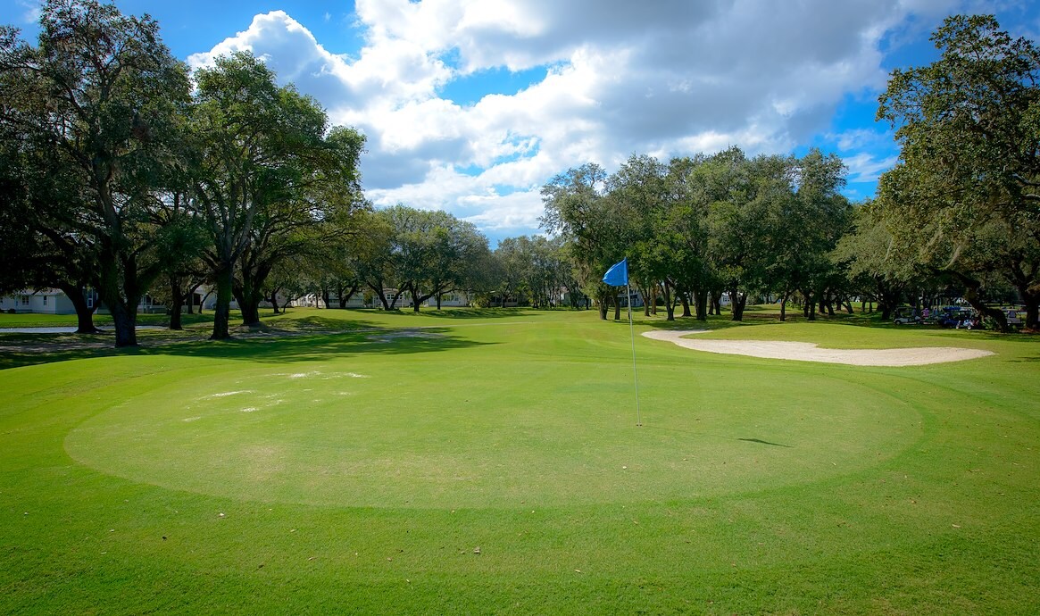 A golf course with trees and a flag, Southport Springs Golf & Country Club