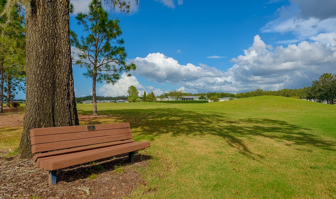 Southport Springs Golf & Country Club, A bench in a park