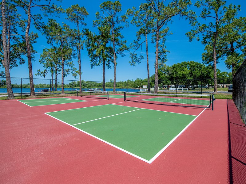 Pickleball courts