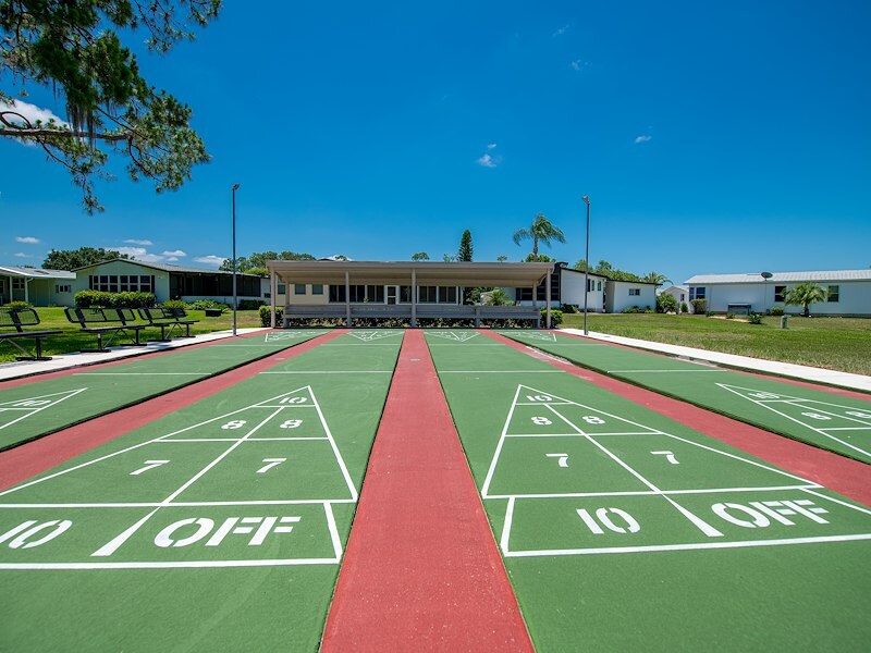 Shuffleboard