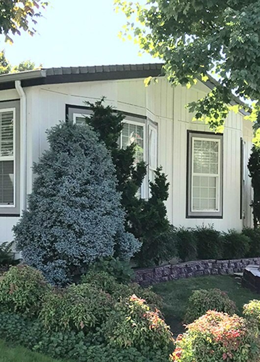 Rosewood / Rowan Oak, Eugene, Oregon