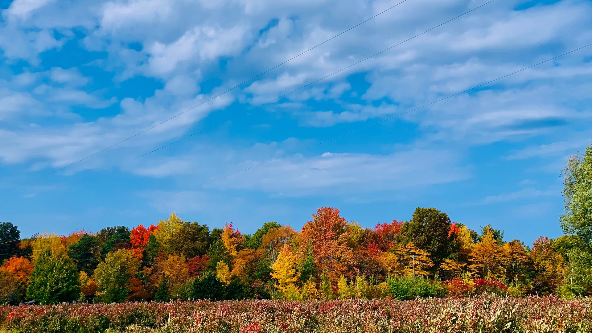 Lakeridge of Eugene of Sun Communities