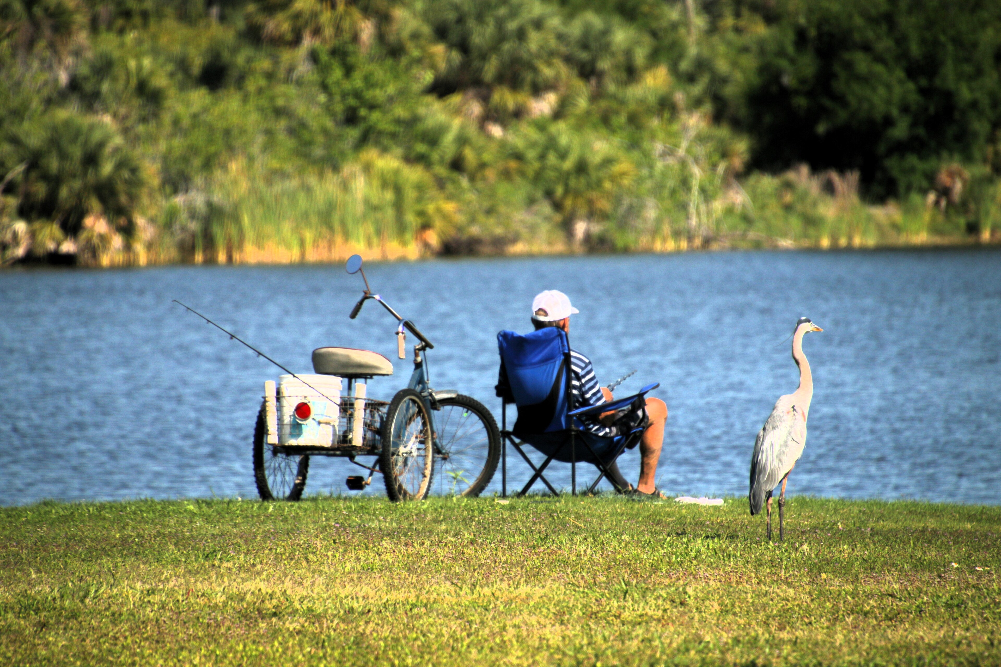 Vizcaya Lakes - Amenities and Services