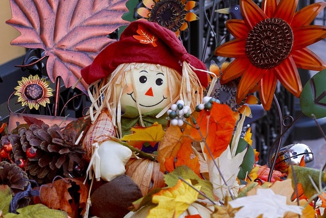 HELLO FALL