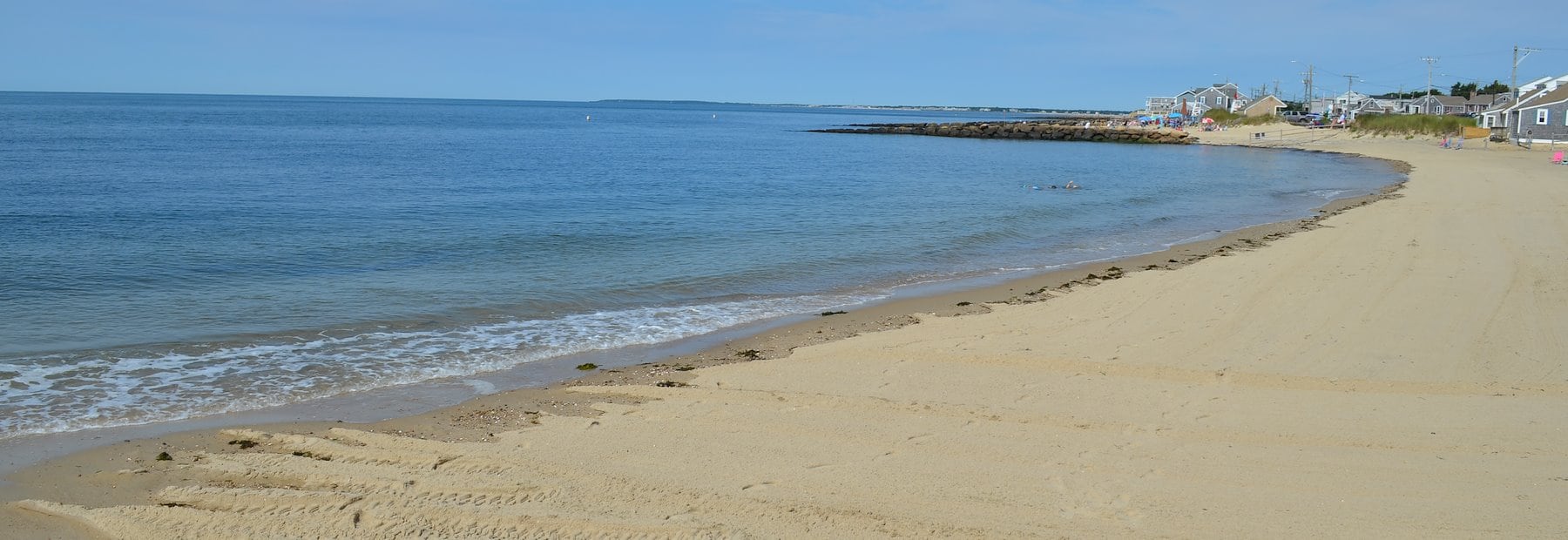 Dive Into Art: Stories From the Sea