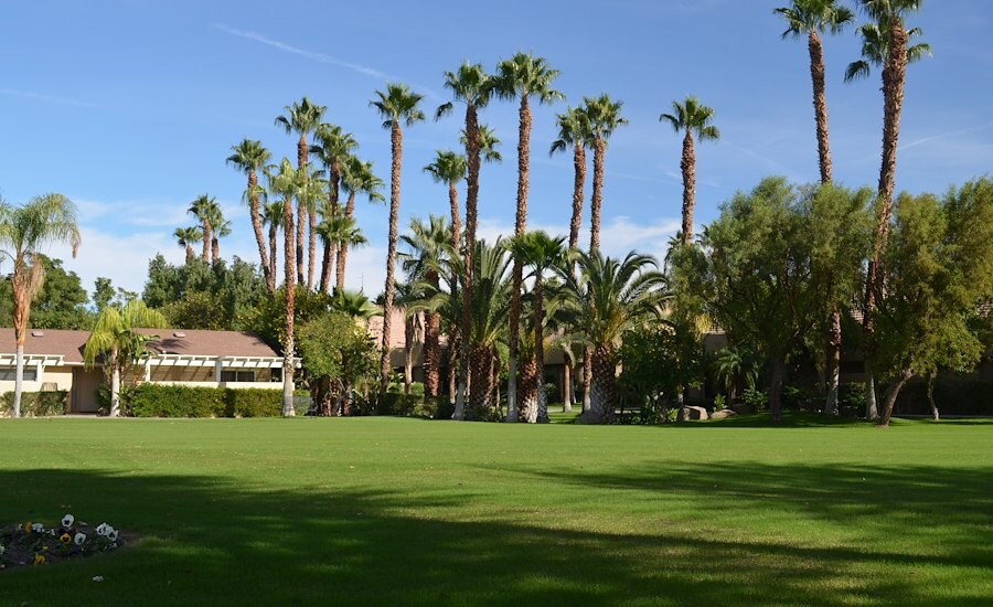 Arial View with Palm Trees at Emerald Desert RV Resort, California