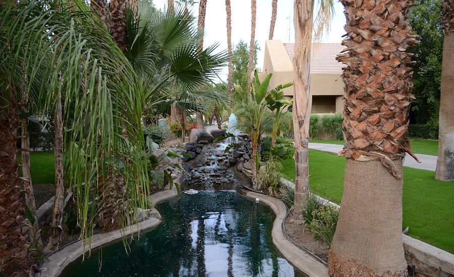 Emerald Desert RV Resort Palm Desert, California Road With Palm Trees