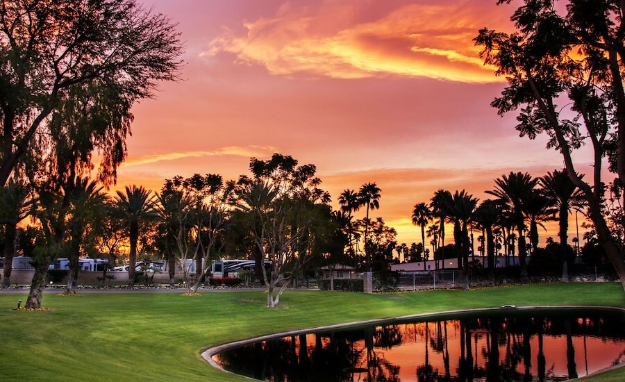 Palm Trees View of Emerald Desert RV Resort, California