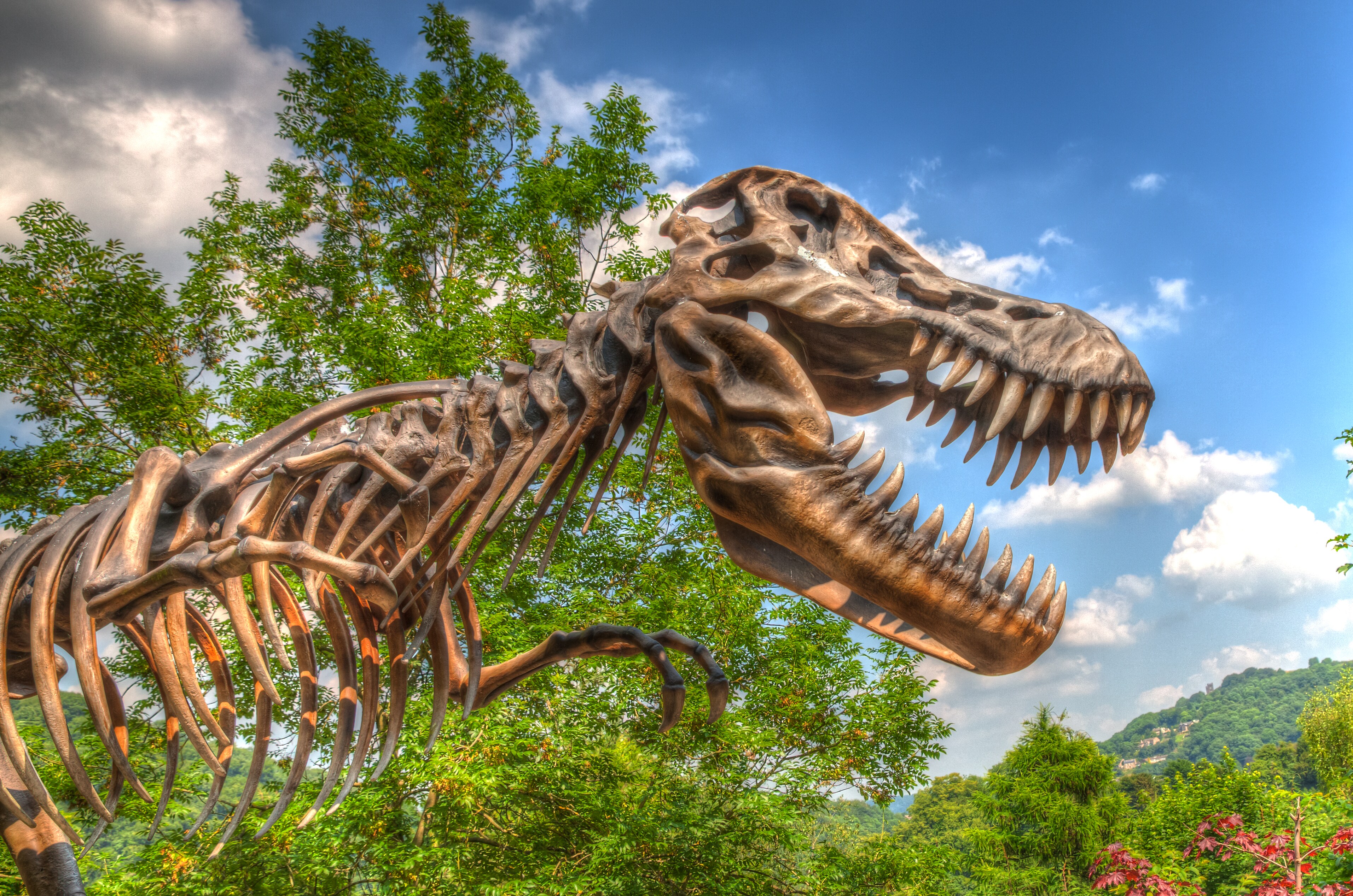 Hemet California - Dinosaur skeleton of Western Science Center