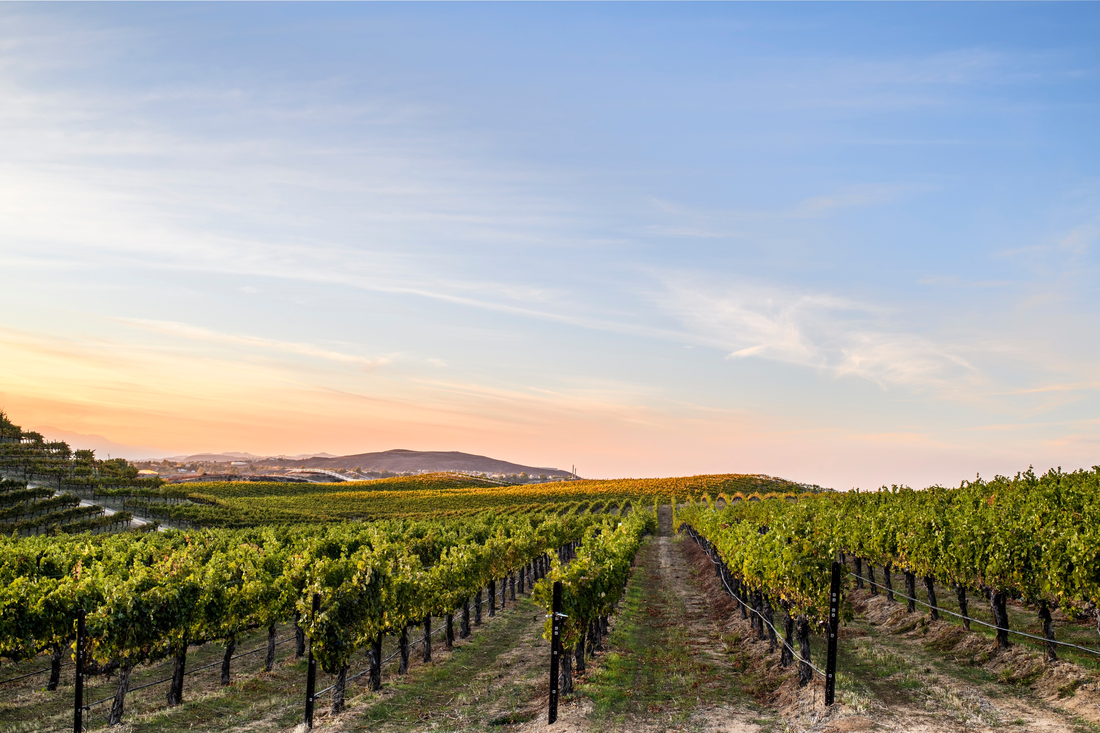 Hemet California - Sip Your Way Through Temecula