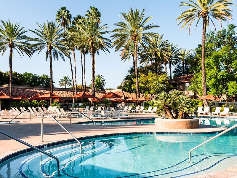 A pool with palm trees and a building