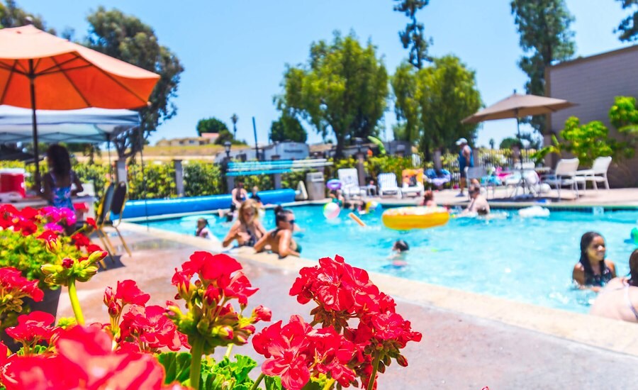 RV Resort in San Diego County Circle RV Resort Sunland