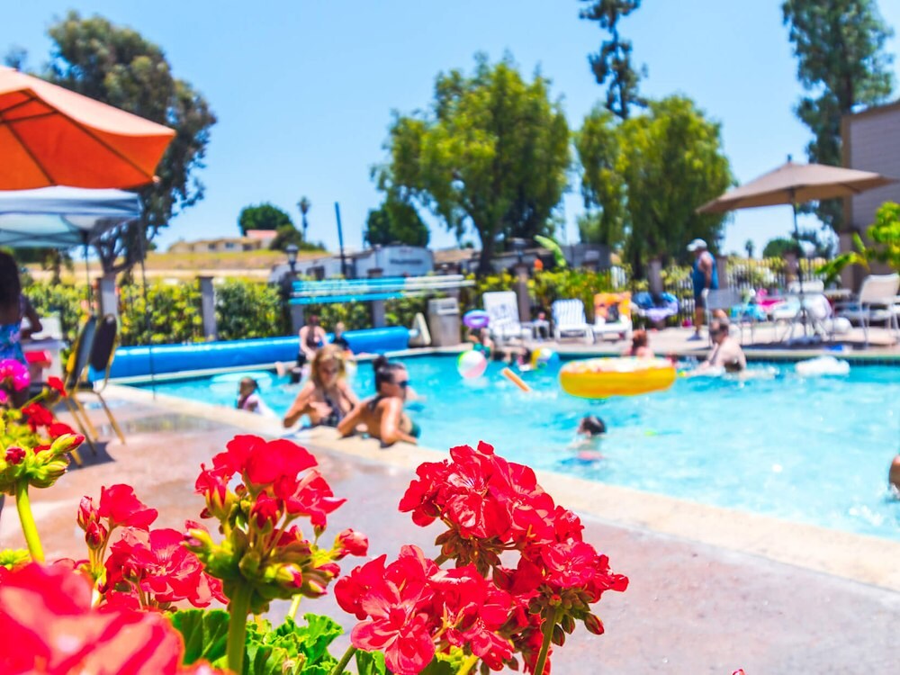 San Diego RV Resort Photos Circle RV Resort Sunland