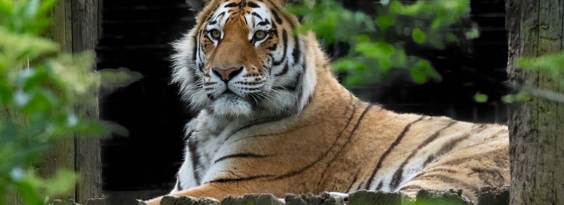 San Diego Zoo