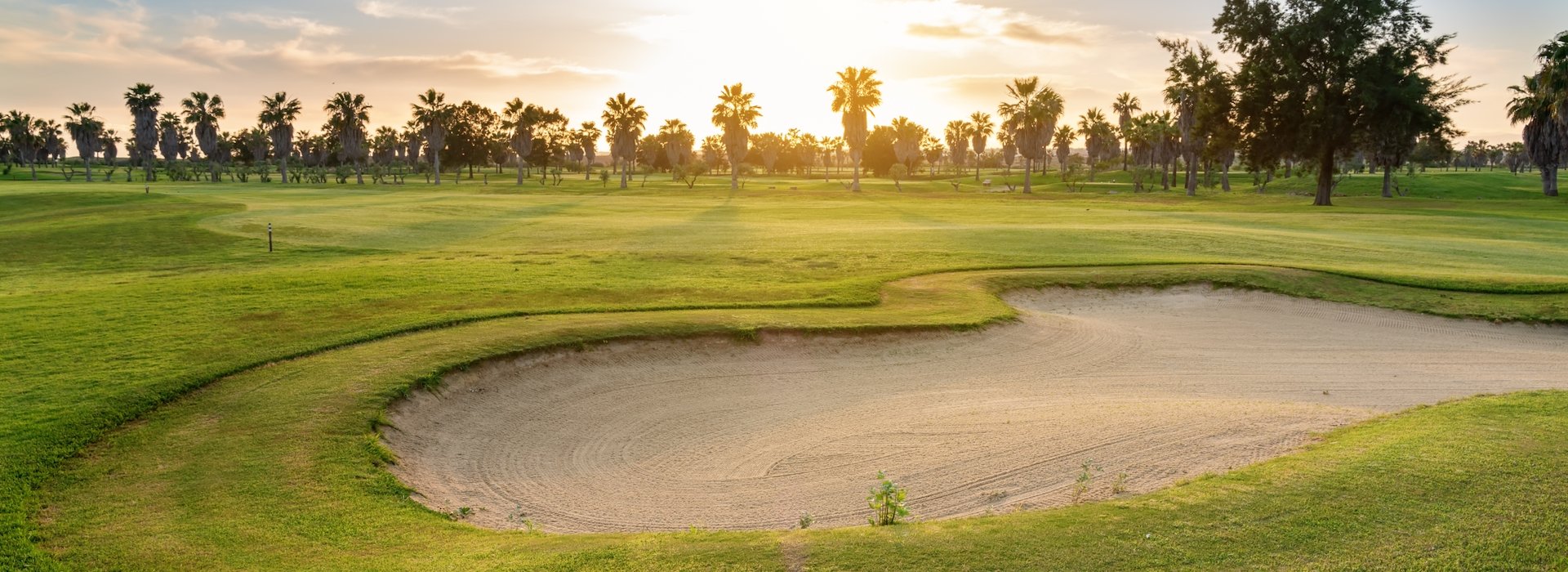 Bring your golf clubs